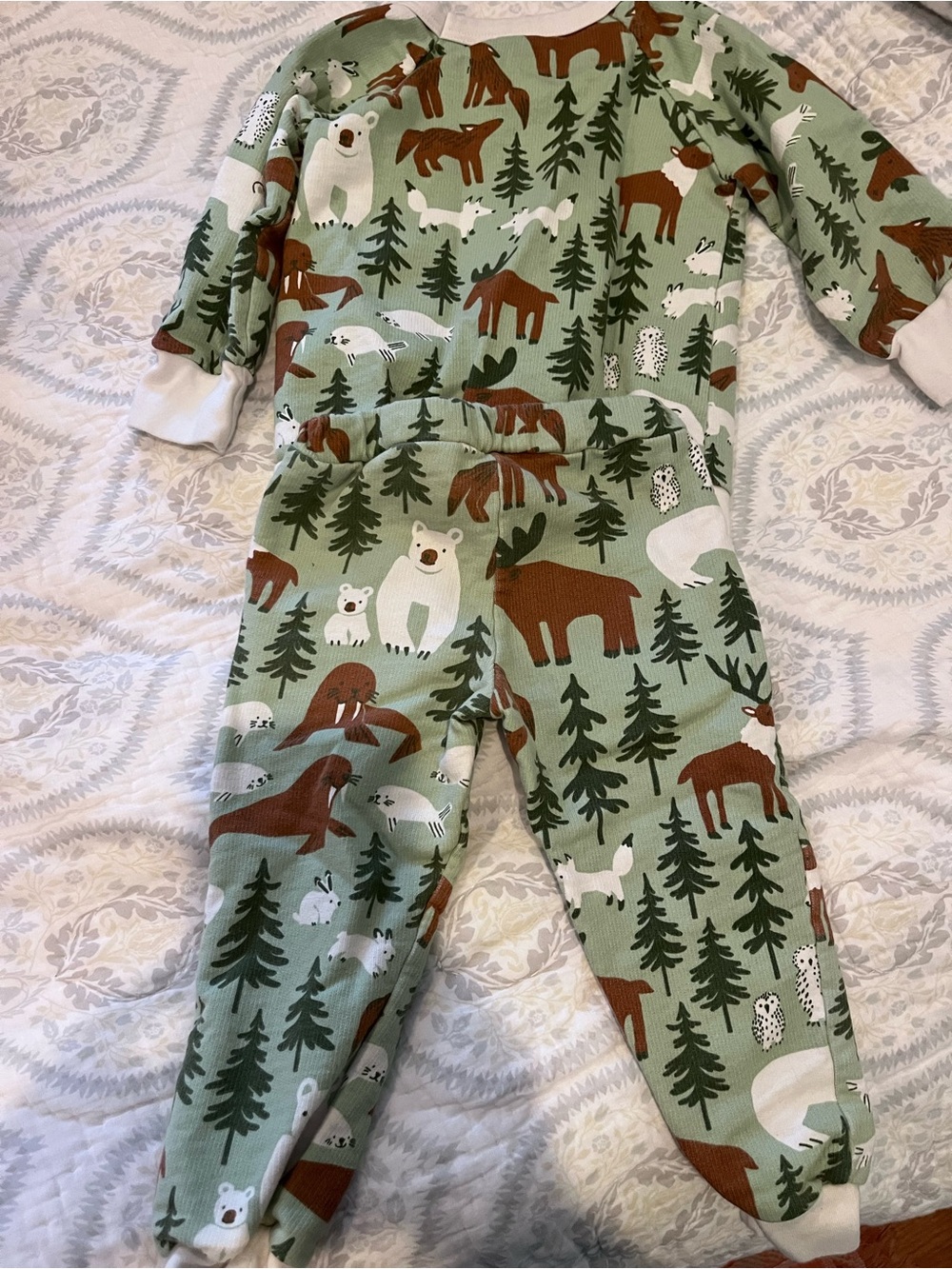 Winter water factory Kids Forest Animal sweat suit Set - Green size 2t